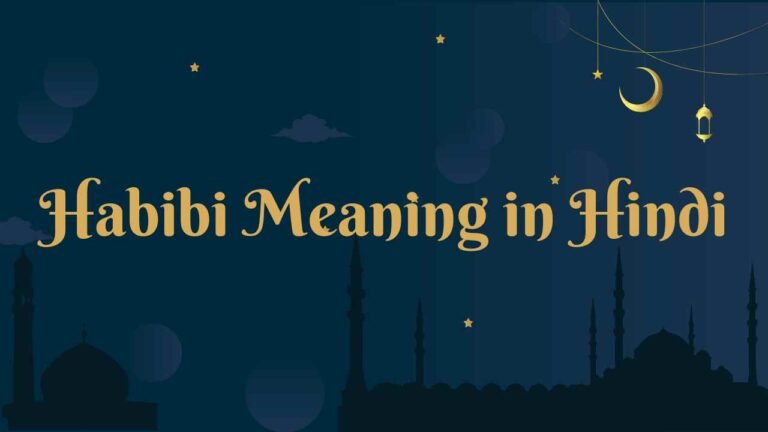 Habibi Meaning in Hindi » MY HINDI GUIDE